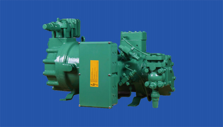 Sample screw compressor